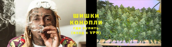 мяу мяу кристалл Богданович