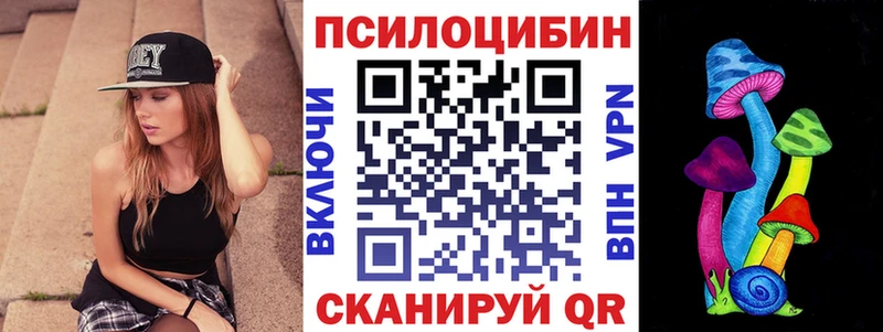 Купить где  Светогорск  Галлюциногенные грибы мицелий 